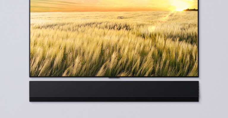 A front-facing view of a TV and Soundbar. The TV shows a field of reeds at sunset.