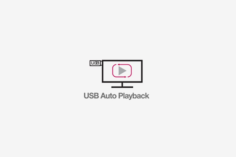 USB Auto Playback
