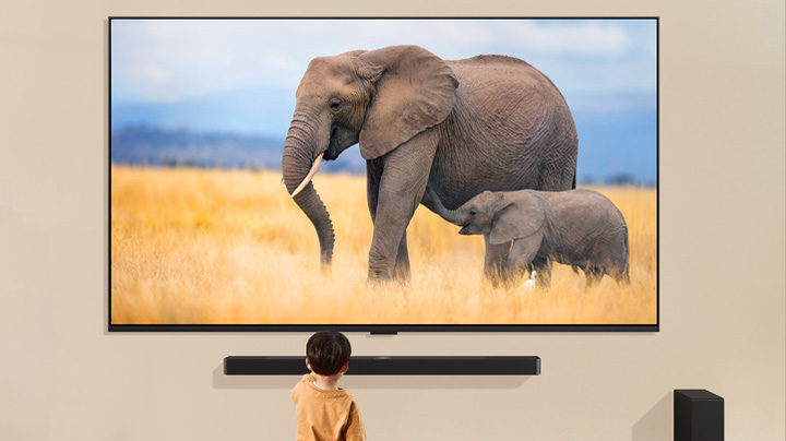 A child is standing in front of a large TV displaying an image of two elephants, one adult and one baby, walking in a grassy field.